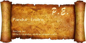 Pandur Endre névjegykártya